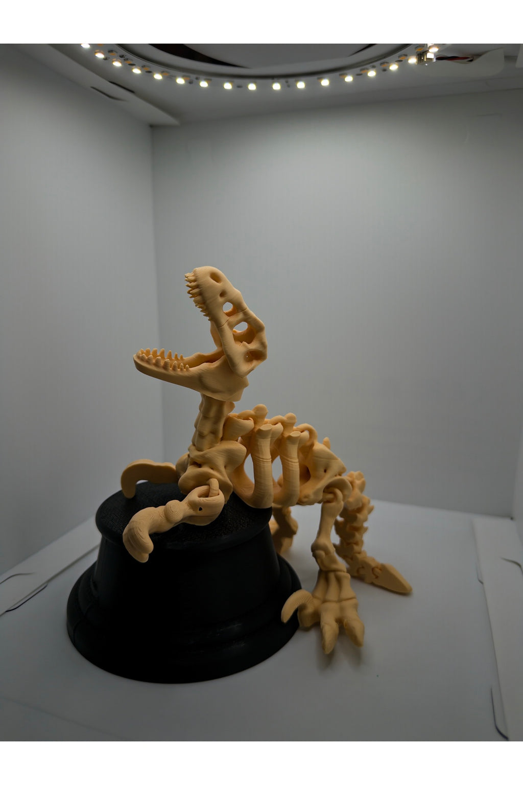 Hareketli Dinozor Figürü - Eklemli Fosil İskelet Modeli - Çocuk ve Dekoratif Oyuncak