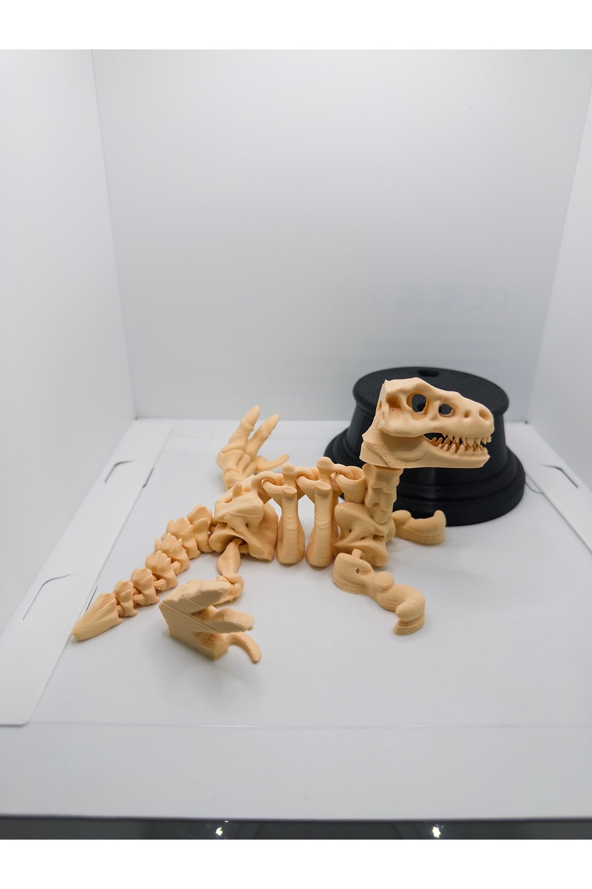 Hareketli Dinozor Figürü - Eklemli Fosil İskelet Modeli - Çocuk ve Dekoratif Oyuncak