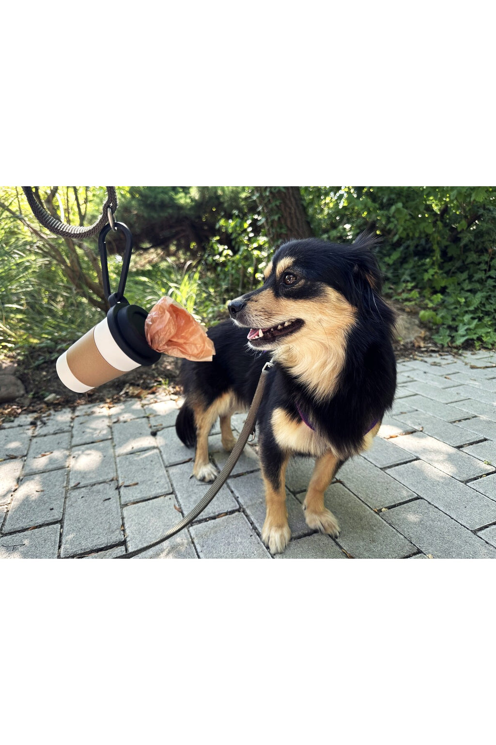 Kahve Bardağı Tasarımlı Köpek Kaka Dışkı Poşeti Tutucu Askı Aparatı ve Taşıma Kabı