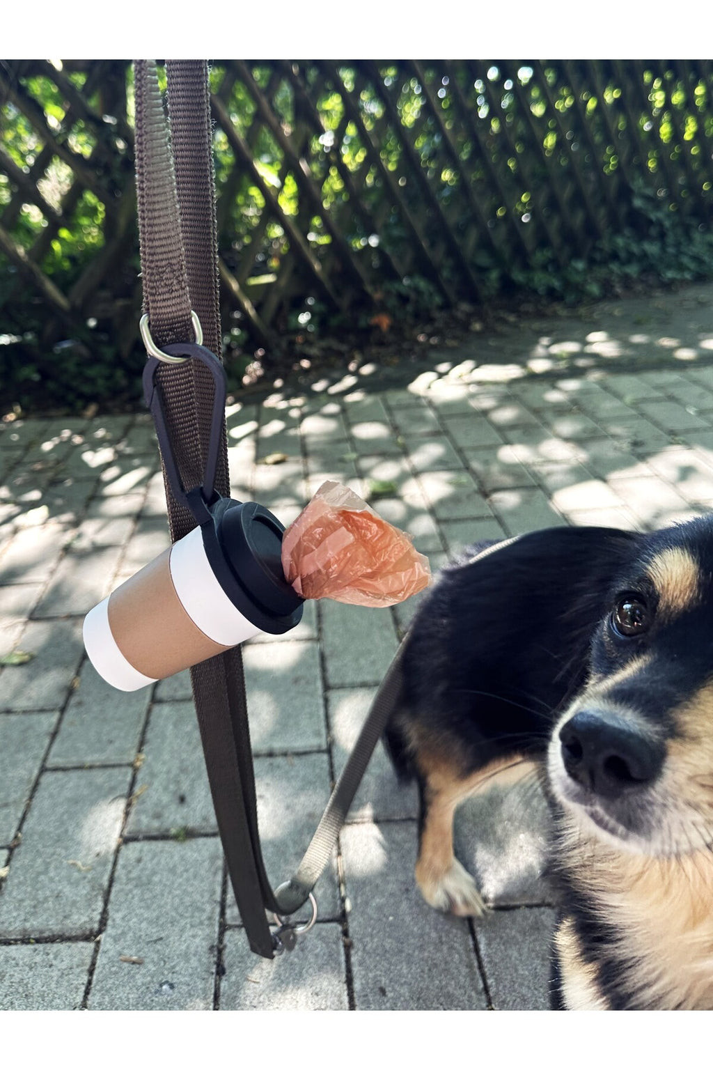 Kahve Bardağı Tasarımlı Köpek Kaka Dışkı Poşeti Tutucu Askı Aparatı ve Taşıma Kabı