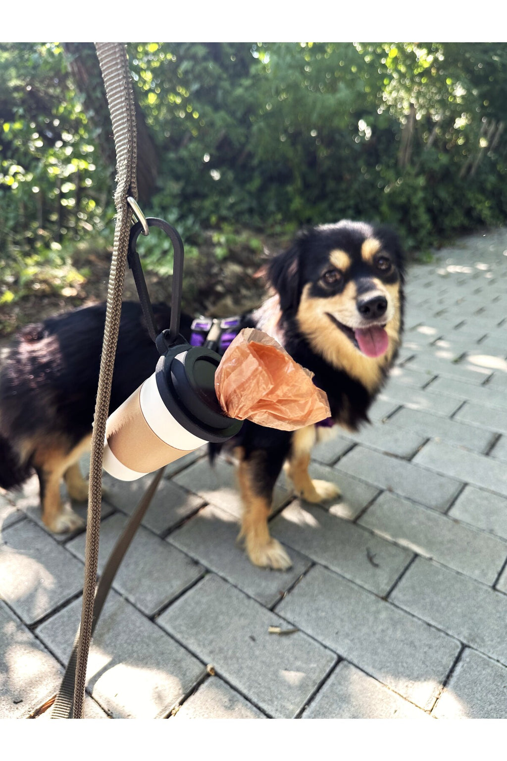 Kahve Bardağı Tasarımlı Köpek Kaka Dışkı Poşeti Tutucu Askı Aparatı ve Taşıma Kabı