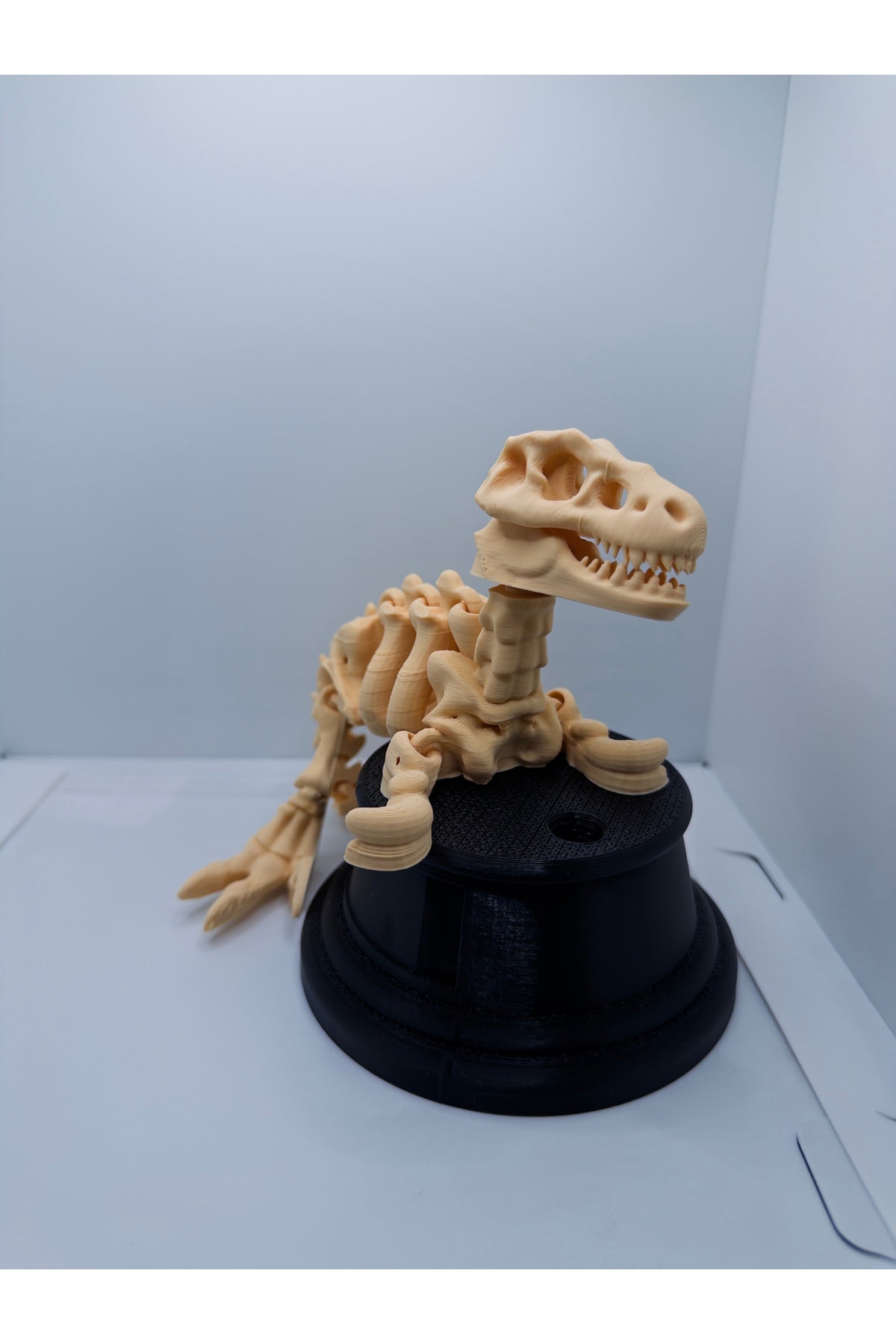 Hareketli Dinozor Figürü - Eklemli Fosil İskelet Modeli - Çocuk ve Dekoratif Oyuncak