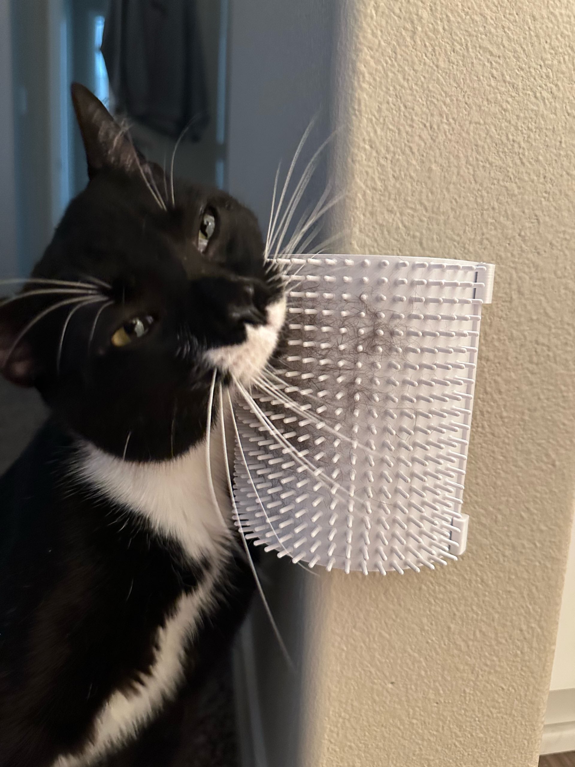 Kedi Köpek Köşe Kaşıyıcı ve Tüy Toplayıcı Tarak - Evcil Hayvan Masaj Aleti (Çift Taraflı Bant)