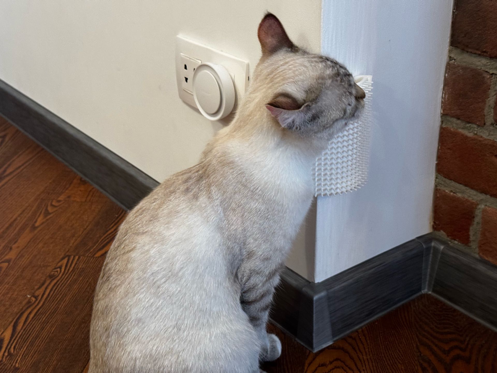 Kedi Köpek Köşe Kaşıyıcı ve Tüy Toplayıcı Tarak - Evcil Hayvan Masaj Aleti (Çift Taraflı Bant)