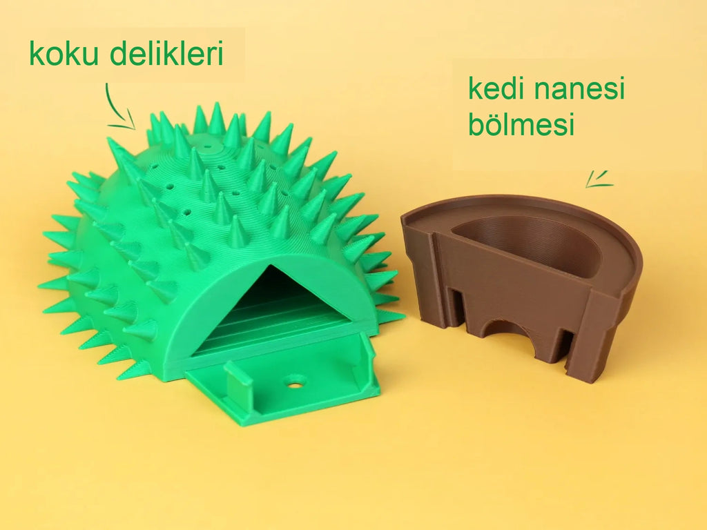 BeSa Paw Vera Kedi Otu Hazneli Duvar Kedi Kaşıyıcı - Özel Kaktüs Tasarım Masaj Standı