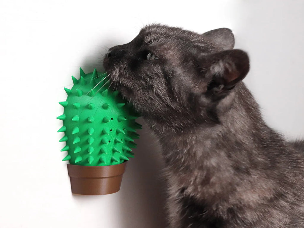 BeSa Paw Vera Kedi Otu Hazneli Duvar Kedi Kaşıyıcı - Özel Kaktüs Tasarım Masaj Standı
