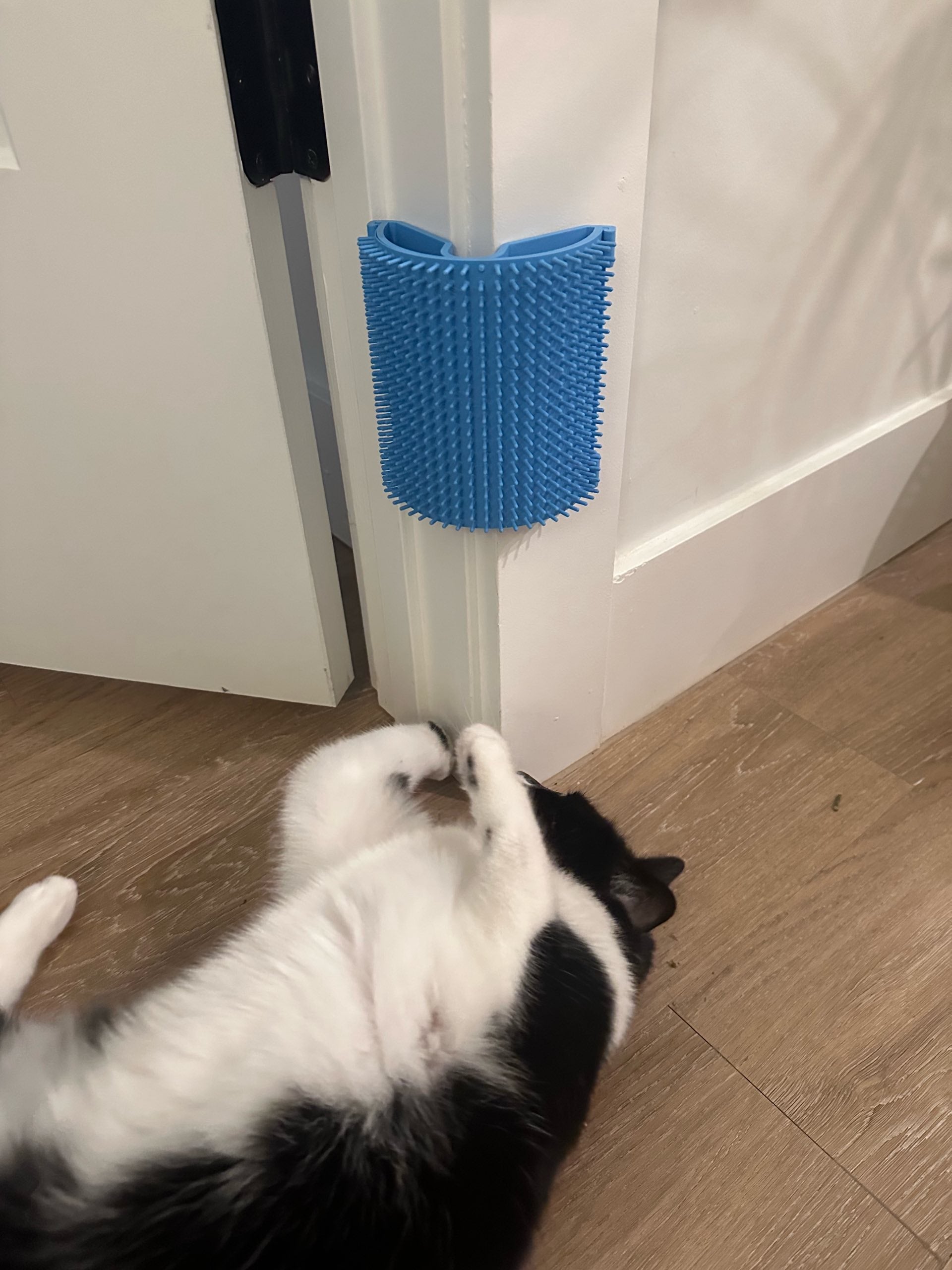 Kedi Köpek Köşe Kaşıyıcı ve Tüy Toplayıcı Tarak - Evcil Hayvan Masaj Aleti (Çift Taraflı Bant)