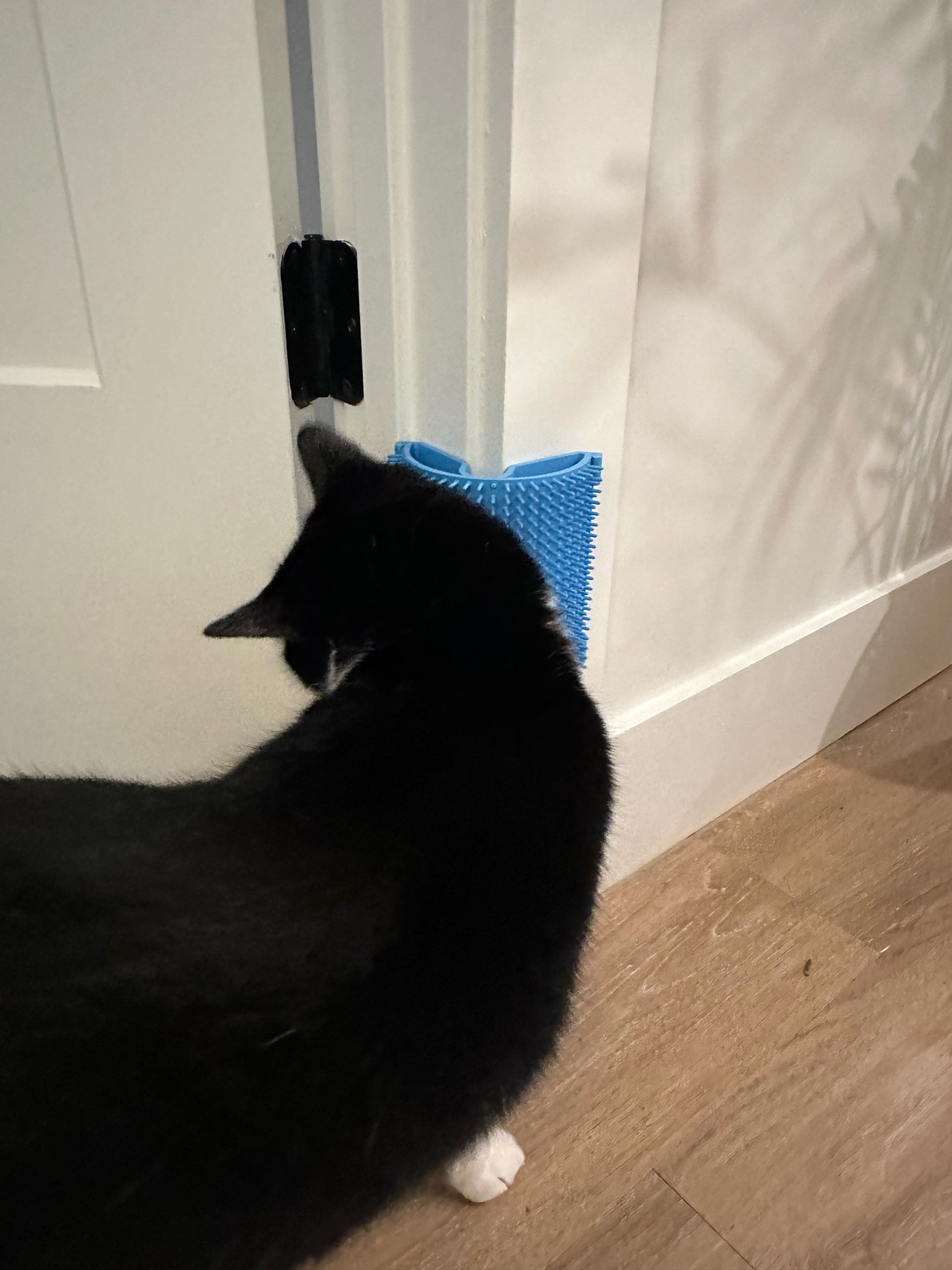 Kedi Köpek Köşe Kaşıyıcı ve Tüy Toplayıcı Tarak - Evcil Hayvan Masaj Aleti (Çift Taraflı Bant)