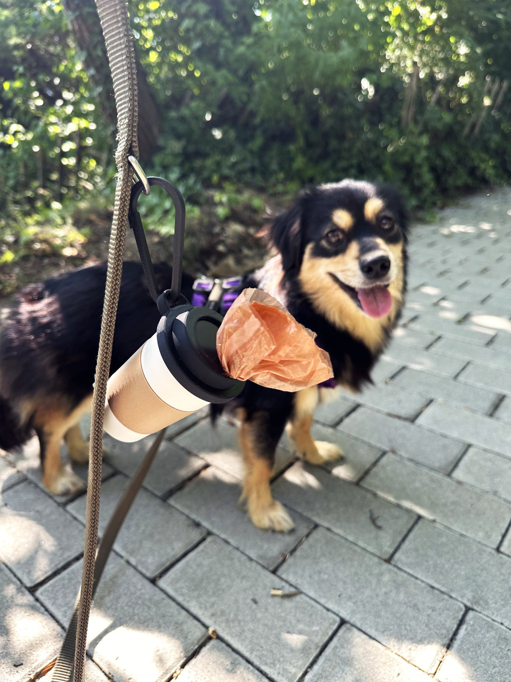 Kahve Bardağı Tasarımlı Köpek Kaka Dışkı Poşeti Tutucu Askı Aparatı ve Taşıma Kabı