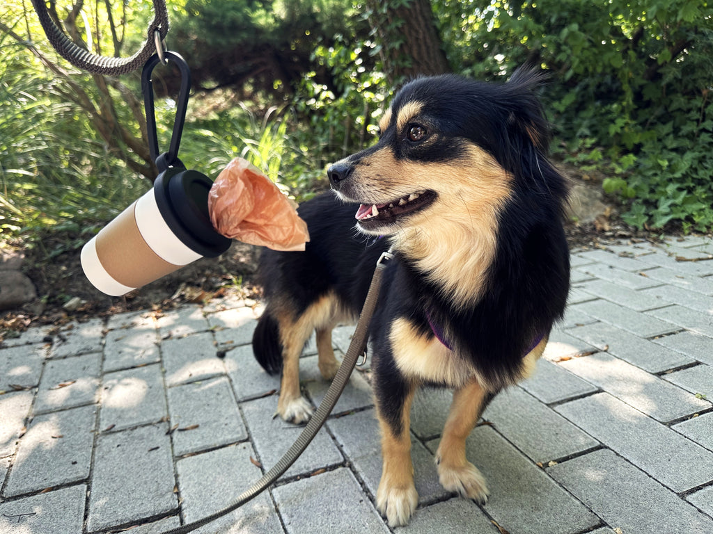 Kahve Bardağı Tasarımlı Köpek Kaka Dışkı Poşeti Tutucu Askı Aparatı ve Taşıma Kabı