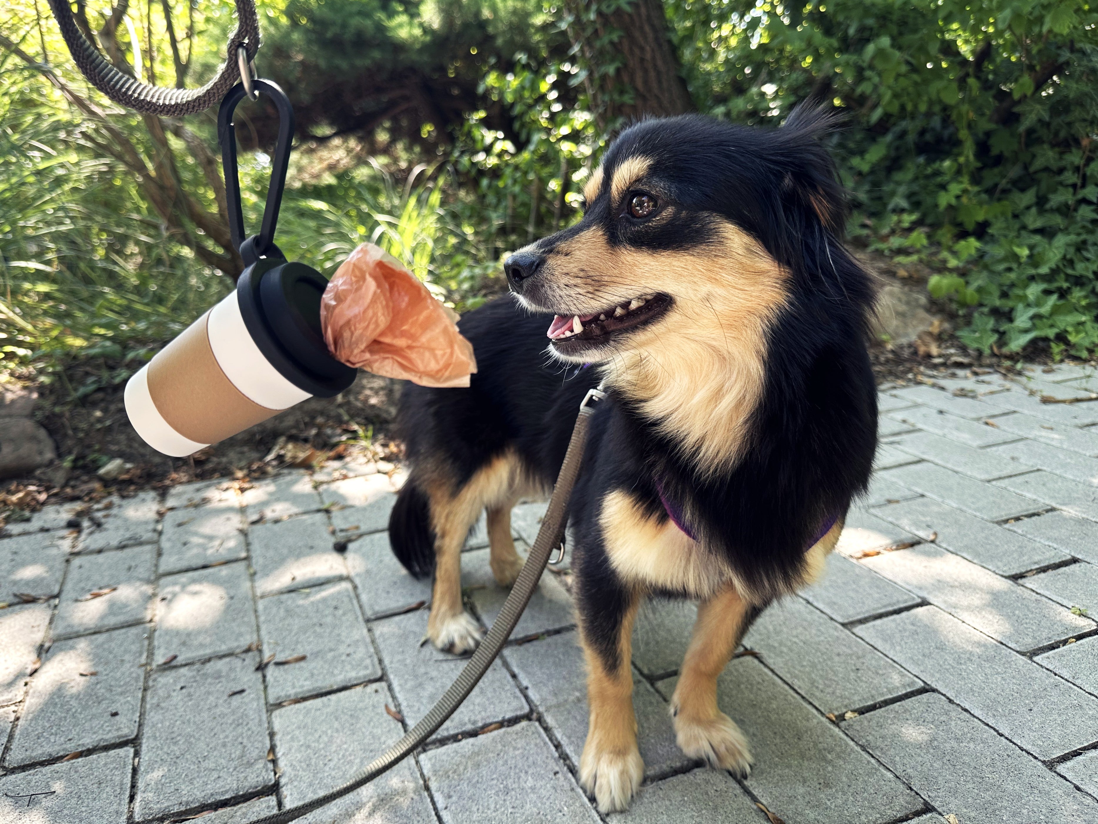 Kahve Bardağı Tasarımlı Köpek Kaka Dışkı Poşeti Tutucu Askı Aparatı ve Taşıma Kabı