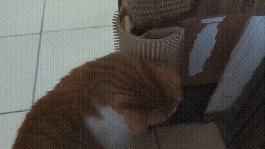 Kedi Köpek Köşe Kaşıyıcı ve Tüy Toplayıcı Tarak - Evcil Hayvan Masaj Aleti (Çift Taraflı Bant)